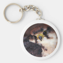 Oiseau de proie porte-clé