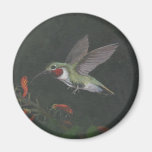 oiseau de ronflement magnets