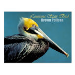 Oiseau d'état de la Louisiane - pélican de Brown Carte Postale