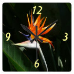 Oiseau d'horloge murale florale tropicale de parad