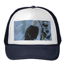 Oiseau/Eagle chauve dans la neige d'hiver chapeaux