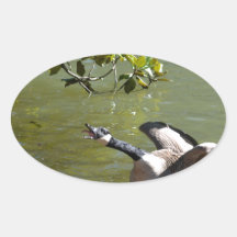 Oiseau fâché 3 sticker ovale