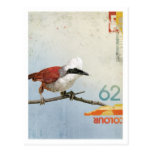 Oiseau No.3 Cartes Postales