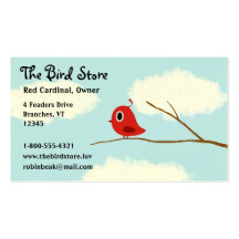 Oiseau rouge sur une branche d'arbre avec le ciel  modèle de carte de visite
