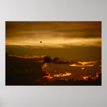 Oiseau solitaire dans un ciel de Firey (affiche)