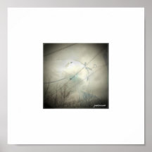 Oiseau sur un Capize Affiche
