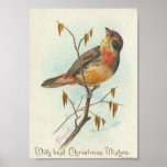 Oiseau vintage de Noël Posters