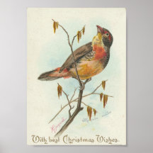 Oiseau vintage de Noël Posters
