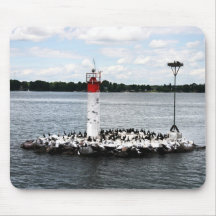 oiseaux sur l'île, mille îles tapis de souris