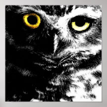 OJOS DE LECHUZA BY LIZ LOZ POSTER