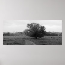 Oka’ Yanahli (Colour Desaturated) Posters