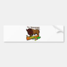 Oklahoma Buffalo Sooner State 2 Bumper Sticker