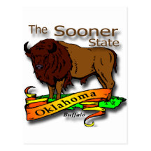 Oklahoma Buffalo Sooner State 2 Postcard