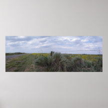 Oklahoma Country Posters