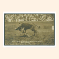 Oklahoma Culy bulldogging. posters