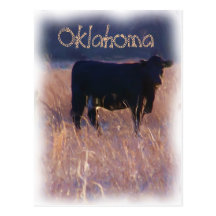 Oklahoma Post Cards