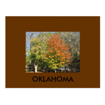 OKLAHOMA POSTCARD
