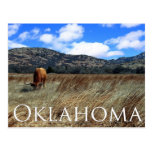 Oklahoma Prairie Postcard