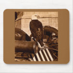 Old Abe-The Wisconsin War Eagle Stereoview ca 1875 Mouse Pads