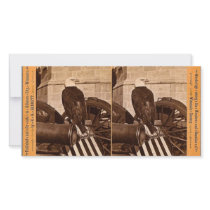 Old Abe, The Wisconsin War Eagle- Stereoview Photo Card