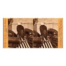 Old Abe, The Wisconsin War Eagle- Stereoview Photo Card