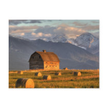 Old barn framed by hay bales and dramatic postcards