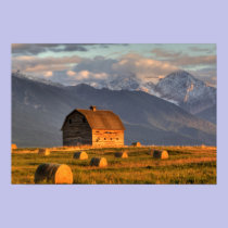 Old barn framed by hay bales and dramatic posters