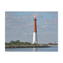 "Old Barney" Barnegat Lighthouse LBI NJ Postcard