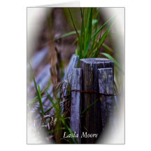 Old Beach Fence Card