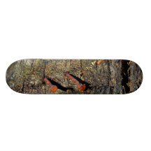 Old bowling alley Skate Tablas De Patinar