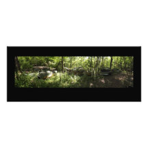 Old Car City USA Back lot Forest Panoramic Print Photo