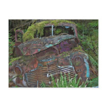 Old Car Wreck in the Forest Photo