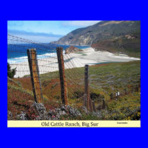 Old Cattle Ranch, Big Sur, California posters