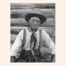 Old cowboy postcards