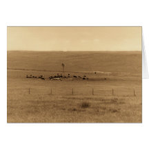 old cows cards