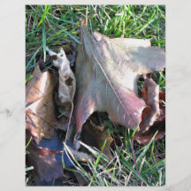 Old dead leaf on grass personalized flyer