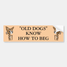 "OLD DOG" Logo with Sayin' Bumper Sticker