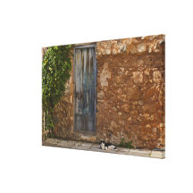 Old door and resting cat canvas prints