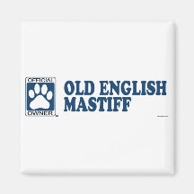 Old English Mastiff Blue Magnets