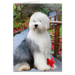 Old English Sheepdog Brings Sunshine to Day cards
