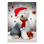 Old English Sheepdog Christmas Stars Greeting Cards