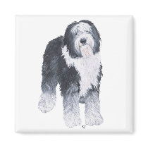 Old English Sheepdog Magnets