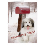 Old English Sheepdog Miss you card