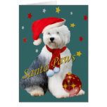 Old English Sheepdog Santa Paws Cards