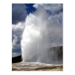 Old Faithful Geyser Postcards
