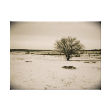 Old Fashion Winter Plains Canvas Prints