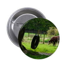 Old Fashioned Country Tire Swing Pinback Button