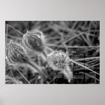 Old Fashioned Flowers; 2013 Calendar Print