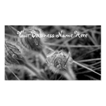 Old Fashioned Flowers; Promotional Business Card