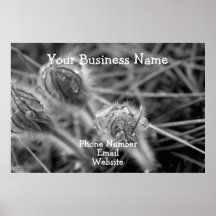 Old Fashioned Flowers; Promotional Print